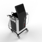 Inteligentna elektryczna maszyna do fizjoterapii Tecar Pro z Tecar 300w