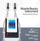 7 Tesla EMS Slim Beauty Machine Emsculpt Budowa mięśni 300μS